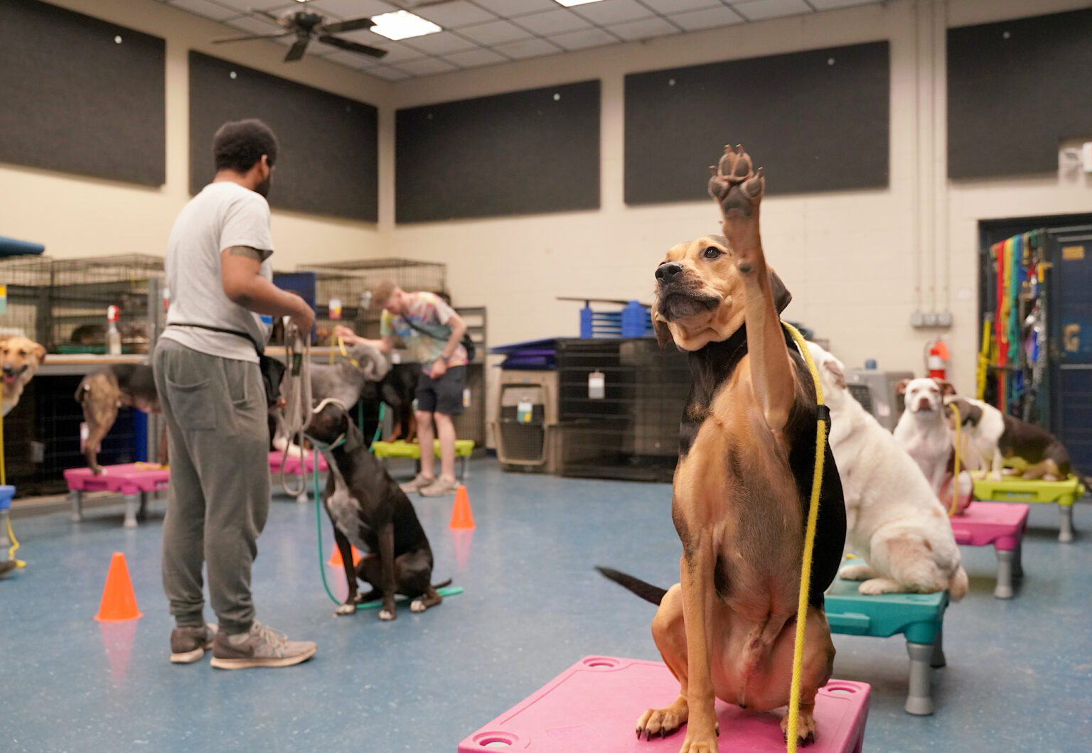 daycare training