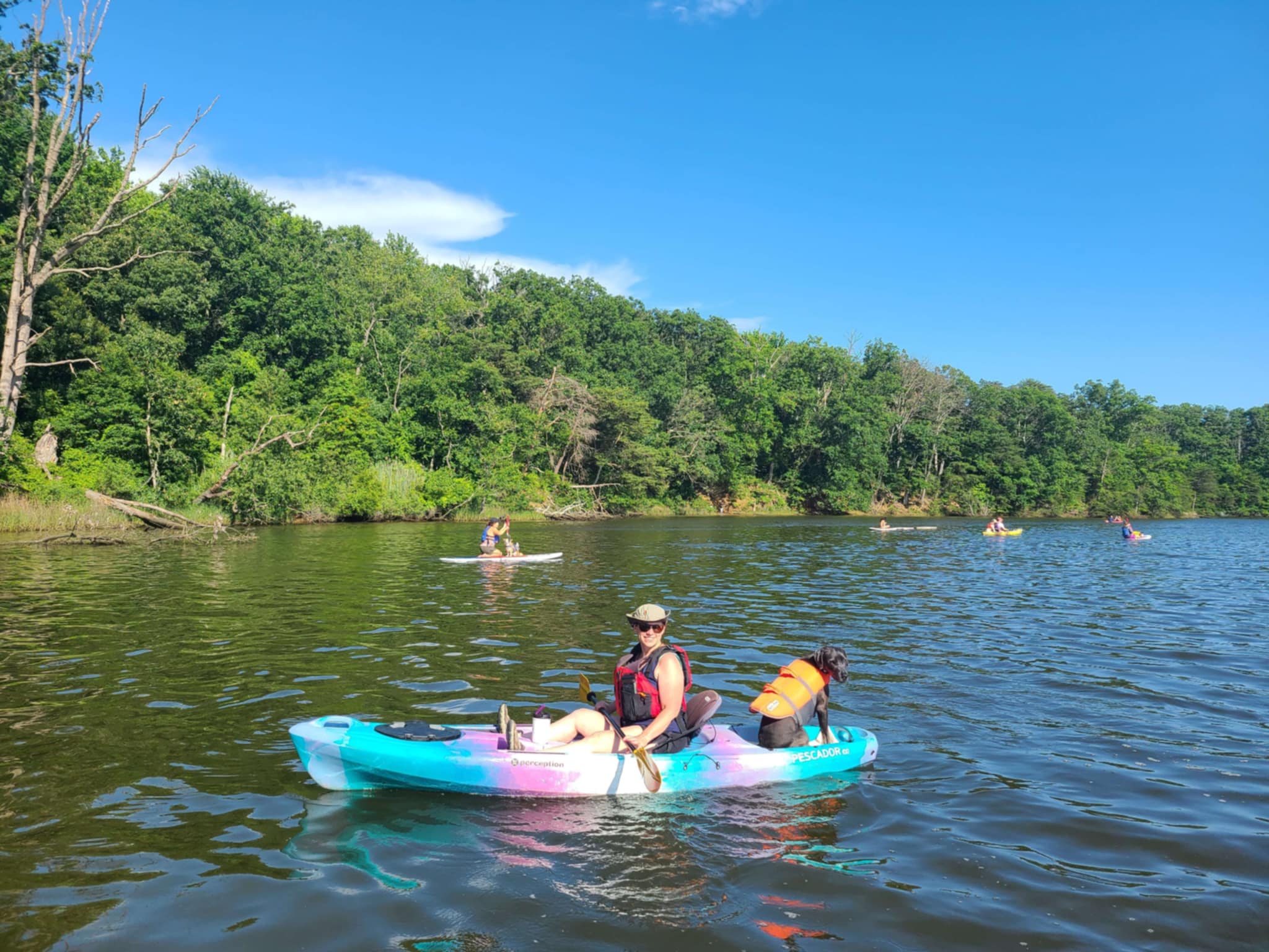 Dog owner paddling in a kayak with their dog on a lake. 