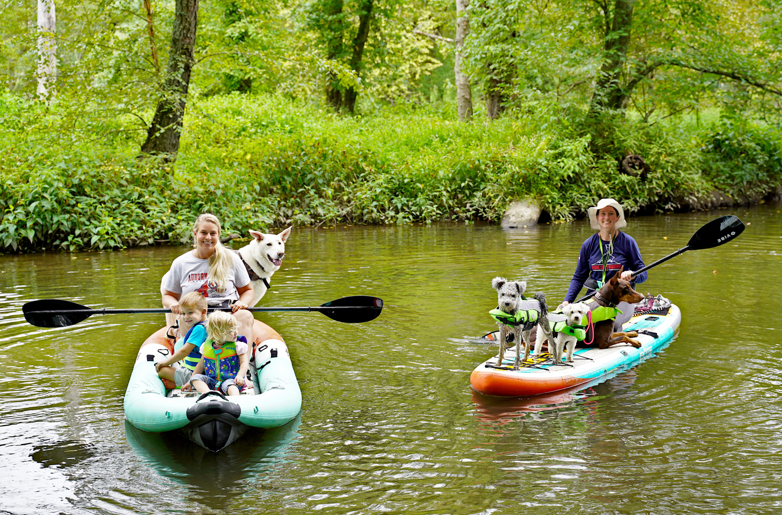 Dog owners take their dogs and kids on a paddling adventure in an inflatable kayak and stand up paddle board. 